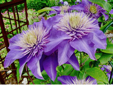 �������� ������ ���