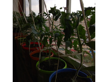 IMG 20190512 174102.jpg