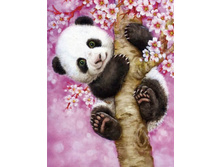 Lze053. ���� 700 � ��� ����������.jpg