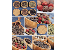 ������ ����� 5541-1 ���.������� 50 ��