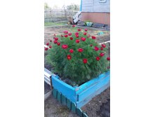 20190518 165637.jpg