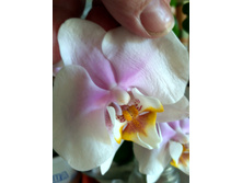 IMG 20190501 135112 HDR.jpg