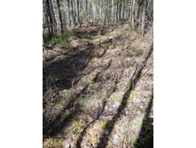 ����� �� ����������� �� �����