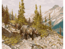 Gx8475. 40�50 ���� 200 �.jpg