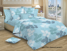 Bc0c3d 9f2da9f09ff447d59635c45136435d2d~mv2.jpg