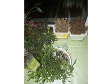 �������� ������