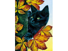 Lze043 ���� 700 � ��� ����������.jpg