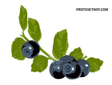 Ax168 ���� 85 �.jpg