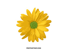 Ax164 ���� 85 �.jpg