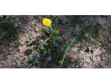 IMG 20190518 112830.jpg