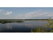 IMG 20190528 172215.jpg