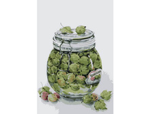 Mc1069.������� 20�30 ���� 250 �.jpg