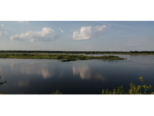 IMG 20190528 173128.jpg