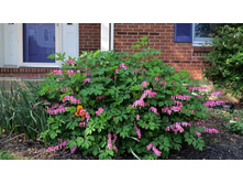 �������� �������� ������ 180 ��� ������� ����� 5 ��.jpg