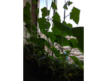 IMG 20190512 173345.jpg