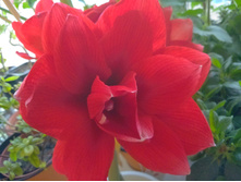 IMG 20190418 184757 AO HDR.jpg