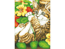 Lze050 ���� 700 � ��� ����������.jpg