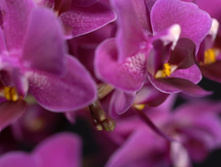 ���������� ���� ������ - 350- 400 ���