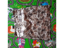 ���� �������� 42�