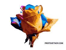 Ax161 ���� 85 �.jpg