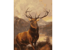 Gx3467. 40�50 ���� 350 �.jpg