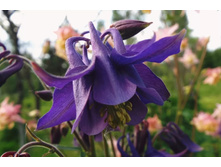 ��������� ����� ����������