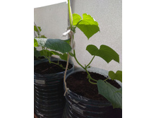 IMG 20190505 084247.jpg