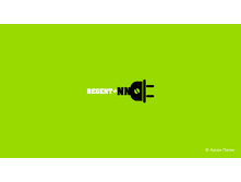 10. Regent-NN - �������