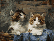 Ex5804 30�40 ���� 250�.jpg