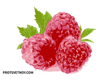 Ax169 ���� 85 �.jpg