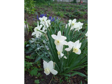 5. ��������.