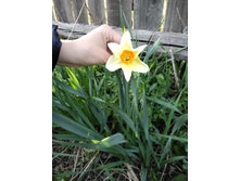 IMG 20190505 182004.jpg