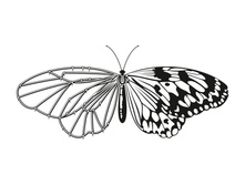 118. ������� - ��������� ���������