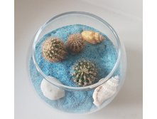 �������