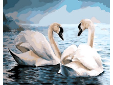 Mg6019 ������� 40�50 ���� 465 �.jpg