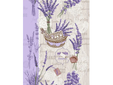 ���� � �������� 5590-1