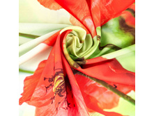 ����006-03563 2.jpg