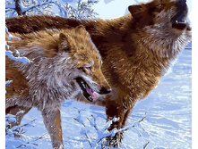 Gx3577 40�50 ���� 200 �.jpg