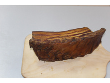 �������� �/� ������