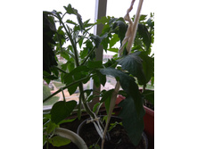 IMG 20190512 174405.jpg