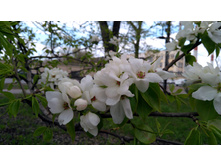 IMG 20190503 152310.jpg