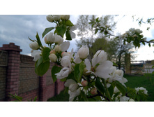 IMG 20190503 152302.jpg