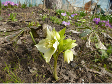 ������� ������ ��������.