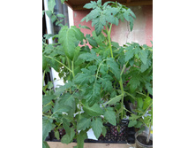 IMG 20190512 174446.jpg