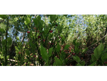 IMG 20190518 103424.jpg