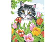 Ex5008 30�40 ���� 250�.jpg