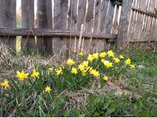 ������� Jennifer