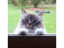 ... �� ���� ����� ����� ���� ���.