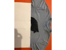 ������� ������ �