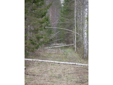 ���������� ������� ���